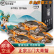 三門(mén)青蟹【順豐空運】臺州特產(chǎn)母蟹活蟹鮮蟹大紅膏蟹大螃蟹送禮盒 大肉蟹【公蟹】4只 | 6-8兩/只
