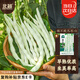 北蔬 九粒白蕓豆種子種苗豆角架豆蔬菜種籽 北蔬摘不敗九粒白種子100g