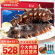 久年大連即食海參2斤10-16只京東自營(yíng)遼刺參海鮮禮盒中秋禮物品送長(zhǎng)輩