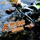 致尊坊桑巴路亞天然實(shí)木改裝握丸紡車輪水滴輪超輕黃金檀魚線輪DIY配件 櫸木/單個(gè)