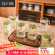 CLITON玻璃水杯茶杯 帶把扎啤杯啤酒杯 可樂杯果汁杯飲料杯6只裝