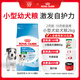 皇家狗糧 幼犬狗糧 寵物 小型犬 MIJ31 全價犬糧 2-10月 2KG