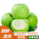 農果傳橙山西青蘋(píng)果水果現摘青平果酸甜孕婦整箱新鮮水果 10斤精選裝 【金獎A級果 京東配送】