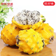 京地達燕窩果 樹(shù)熟果麒麟果黃火龍果凈重3斤單果150g+源頭直發(fā)包郵