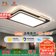 FSL佛山照明吸頂燈LED客廳燈北歐后現(xiàn)代鐵藝燈調(diào)色50423/132W 包安裝