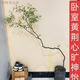 CLCEY黃荊(黃金)老樁苗室內樹(shù)室外造景茶幾綠植樹(shù)飄枝盆景素材擺件客廳 斜飄造型精品老樁(120一150cm) 不含盆