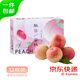 京鮮生 國產(chǎn)金秋紅蜜桃禮盒 凈重4.5斤+ 12粒裝 生鮮水果 源頭直發(fā)
