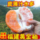 平和黃肉蜜柚正宗福建琯溪黃心柚子當季新鮮水果非三紅柚5-10斤 凈重8.8斤3-5個(gè)裝(黃金蜜柚) 0.1g