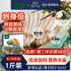 澳洲進(jìn)口翡翠大鮑魚鮮活捕冷凍貝類肉生海鮮非黑金鮑干佛跳墻食材 1斤裝 8-10頭/盒【第2件僅需68元】