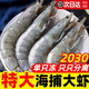 鼠大漁厄瓜多爾白蝦特大蝦鮮活速凍鹽凍南美白蝦基圍蝦海對蝦類生鮮批發(fā) 2030巨劃算 3斤(凈重)  【只只單凍】