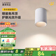 鹿家良品（LUUGAA）喬木明裝筒燈防眩光led射燈全光譜護眼無主燈具客廳臥室過道燈 【薦】筒燈|全光譜|12W|4000K|全白杯