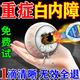 佩措琛克白內(nèi)障眼藥水療治老年人白內(nèi)障視力模糊不清葉黃素專用滴眼液進(jìn)口 三盒【晶狀體渾濁模糊】買二送一