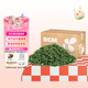 BCM烘干全葉苜蓿草幼兔干草兔子紫花苜蓿草純葉子龍貓荷蘭豬兔糧400g