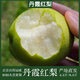 桃西村  山西運(yùn)城水果臨猗新鮮丹霞紅梨紅香梨脆甜香梨皮薄無(wú)渣細(xì)膩多汁 9斤 中果