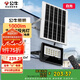 公牛（BULL）太陽能燈戶外庭院燈鋼化玻璃智能光控遠(yuǎn)程遙控MG-C150B-AE