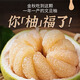 【現買(mǎi)現摘】正宗仙游度尾文旦柚老樹(shù)紅心柚當季孕婦新鮮水果柚子 暢銷(xiāo)3斤裝:凈重2.8-3.1斤【老樹(shù)精品無(wú)孔果】 優(yōu)選老樹(shù)柚【網(wǎng)袋裝】果園直發(fā)