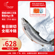純爾挪威冰鮮三文魚整條(8斤以上)/條 生食刺身 源頭直發(fā)包郵 謝師宴