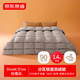 京東京造Duvet D'oie杜唯朵90%白鵝絨分區(qū)鎖溫復(fù)合羽絨被子1400g- 2*2.3M