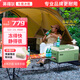 英得爾車載冰箱20L 低噪音(<35dB)車家兩用 12V 24V 220V-S20 車家兩用 +家用適配器】綠 20升