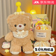 赟婭毛絨玩偶花束泰迪熊兒童抱抱睡小熊公仔娃娃小女孩閨蜜生日禮物袋 圍巾小熊+生日帽+花束+禮袋