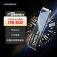 七彩虹(Colorful) 1TB SSD固態(tài)硬盤(pán) M.2接口(NVMe協(xié)議) CN700 PLUS系列 PCIe 4.0 x4