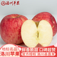 洛川蘋(píng)果陜西延安紅富士時(shí)令蘋(píng)果水果禮盒裝糖心蘋(píng)果生鮮脆甜整箱好吃新鮮 10斤鉑金果80-85mm（凈重8.5斤）