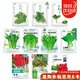 壽禾 10種蔬菜種子苗青菜生菜西紅柿雞毛菜辣椒四季 10種蔬菜種子套餐