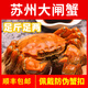 【活蟹】蟹影迷蹤大閘蟹 現貨全母蟹鮮活螃蟹河蟹生鮮禮盒 全母蟹2.2-2.5兩 8只