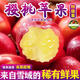 正宗新疆阿克蘇櫻桃小蘋(píng)果新鮮水果當季現摘紅富士丑萍果脆甜爽口 5斤