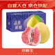 京鮮生 紅肉蜜柚 2粒 單果3-3.5斤 生鮮水果中秋禮盒