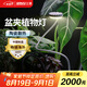 三思京東集采JC系列全光譜植物燈補(bǔ)光燈仿太陽(yáng)光植物生長(zhǎng)盆夾燈-12W