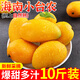 胖東來品質(zhì)海南芒果10斤新鮮水果應(yīng)當(dāng)季現(xiàn)摘整箱小臺(tái)芒甜心芒大果 3斤 中果 單果重 80-100g青果發(fā)貨