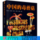 【官方現(xiàn)貨首發(fā)】中國(guó)的毒蘑菇