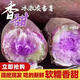 正宗廣東冰淇淋番薯粉糯甜9斤新鮮一點(diǎn)紅現(xiàn)挖紅薯地瓜板栗薯紫薯p 2斤中果【現(xiàn)挖現(xiàn)發(fā)】