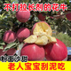 再見(jiàn)少年郎寧夏紅星粉面蘋(píng)果當季新鮮水果寶寶輔食老人刮泥蘋(píng)果花牛蘋(píng)果 凈重4.5斤大果10-11個(gè)