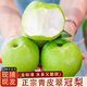傾青果園正宗碭山翠冠梨翠玉梨青皮蜜梨皇冠梨蘋果梨雪梨新鮮水果安徽梨子 凈重4.5斤裝【6-9枚裝】