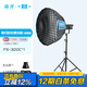 南光（NANLITE）FS-300C全彩大功率補(bǔ)光燈 視頻直播拍攝燈 RGB專業(yè)影棚大場景攝影燈 氛圍人像拍照燈 FS-300C+新款90快裝柔光箱（蛋格）+燈架