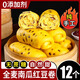全麥南瓜紅豆卷早餐半成品花卷豆沙包雜糧饅頭手工窩窩頭粗糧主食 【全麥南瓜紅豆卷12個(gè)】480g×2包