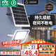 雷士（NVC）太陽能戶外照明燈室外庭院燈路燈投光燈光控遙控402lm+約25m2