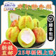 阿克蘇蘋果;AKSU；AKESU APPLE【順豐新疆直郵】新疆庫爾勒香梨子特級(jí)母梨整箱時(shí)令新鮮水果生鮮 特級(jí)母梨凈重5斤 單果120-150g