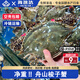 梭子蟹鮮活冷凍舟山新鮮大螃蟹紅膏蟹飛蟹白蟹海鮮水產(chǎn)三眼海蟹 梭子蟹整只 2斤裝(3-5整只)5-6兩