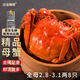 【活蟹】漁家?guī)煾荡箝l蟹全母2.8-3.1兩8只去繩足重鮮活螃蟹現(xiàn)貨生鮮水產(chǎn)禮盒源頭直發(fā)