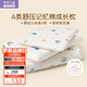 羅萊兒童 A類(lèi)記憶棉成長(cháng)枕頭 6-12歲兒童枕枕芯 睡眠星球 H3 30*50cm
