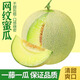 四叔公果蔬網(wǎng)紋蜜瓜【多地次日達】甜瓜香瓜當季新鮮水果禮盒中秋禮品 精品網(wǎng)紋瓜（鎖鮮包裝｜自吃推薦） 3斤裝 | 1個(gè)【超值推薦-80%選擇】?jì)?.8