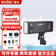 神牛（二代現貨）AD200proII閃光燈口袋外拍燈相機高速同步TTL自動測光頻閃便攜攝影補光燈戶外攝影 神牛AD200PROII標配（二代現貨）