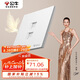 公牛（BULL）開關(guān)插座G57蝶翼超薄二位電腦六類插座大面板G57T222暮雪白暗裝