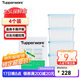 特百惠（Tupperware）冷凍2.5L*4保鮮盒食品級冰箱儲物密封收納盒肉類(lèi)速凍速解 馬卡藍
