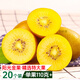 今鮮果[新西蘭同品種G3]四川黃心獼猴桃陽(yáng)光金果奇異果新鮮水果中秋禮盒 黃心獼猴桃20個(gè)/單果110g+