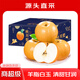 梓頤山東萊陽(yáng)秋月梨新鮮當(dāng)季冰糖甜雪梨蜜梨子千玥膏梨水果中秋送禮盒 5斤精選臻品特級(jí)果350g+凈4.5斤