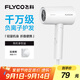 飛科（FLYCO）負離子電吹風(fēng)機家用便攜出游速干冷熱風(fēng)大功率吹風(fēng)筒FH6276